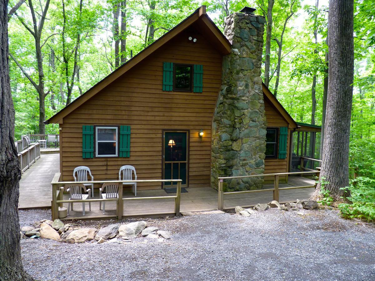 Cabin Creekwood Lyndhurst Buitenkant foto
